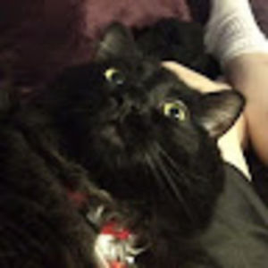 Meet your Posher, Ethan